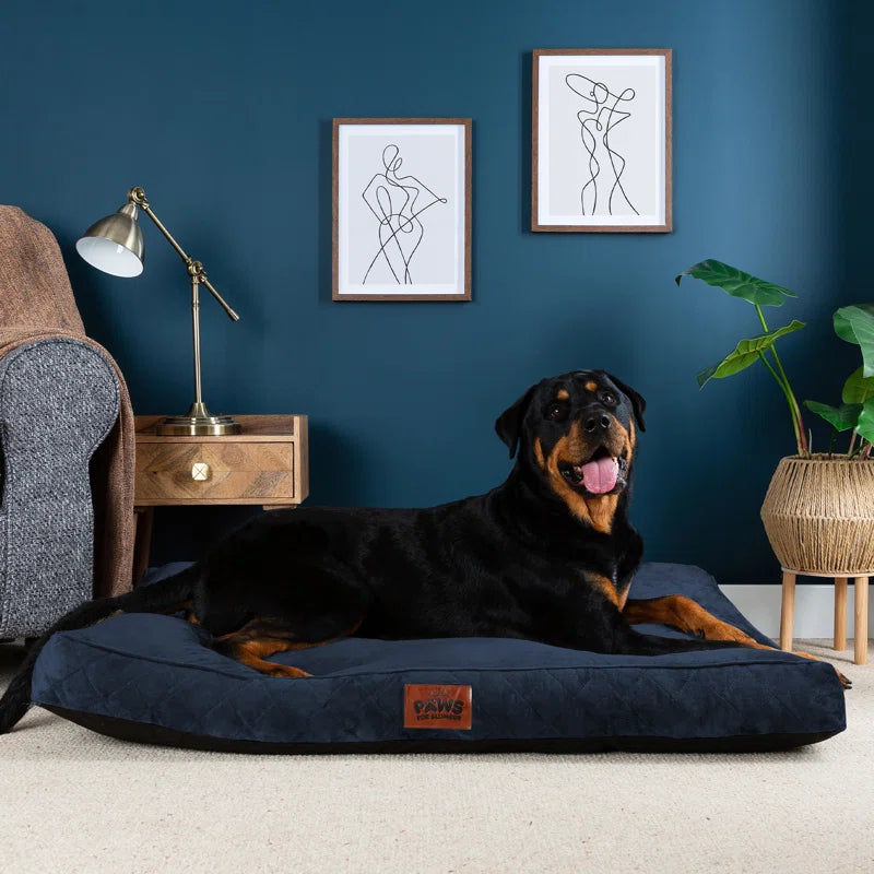 Paws for Slumber Raised Padded Dog Bed – Comfortable, Supportive & Durable Pet Bed for All Breeds