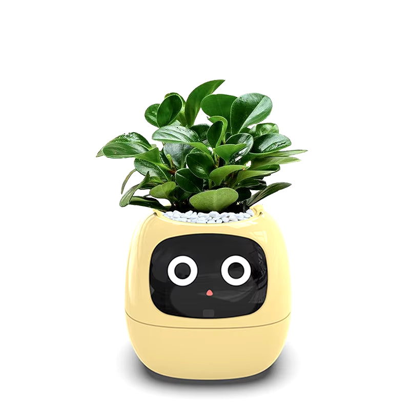 Transform Your Plant Care with Ivy Smart Planter: 49+ Engaging Expressions, 7 Smart Sensors, and AI Technology!