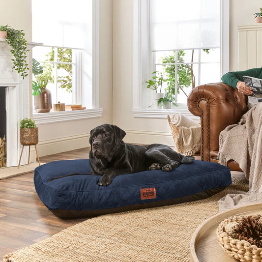 Paws for Slumber Raised Padded Dog Bed – Comfortable, Supportive & Durable Pet Bed for All Breeds