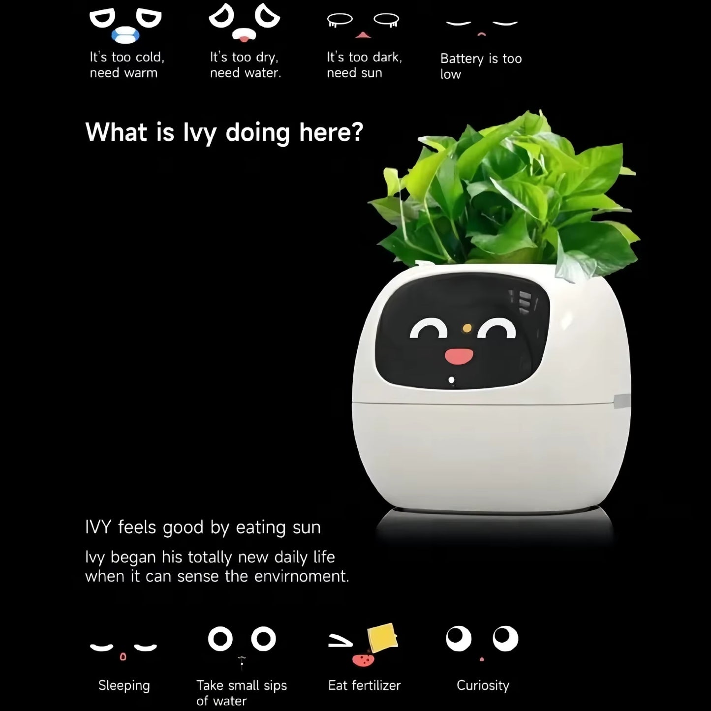 Transform Your Plant Care with Ivy Smart Planter: 49+ Engaging Expressions, 7 Smart Sensors, and AI Technology!