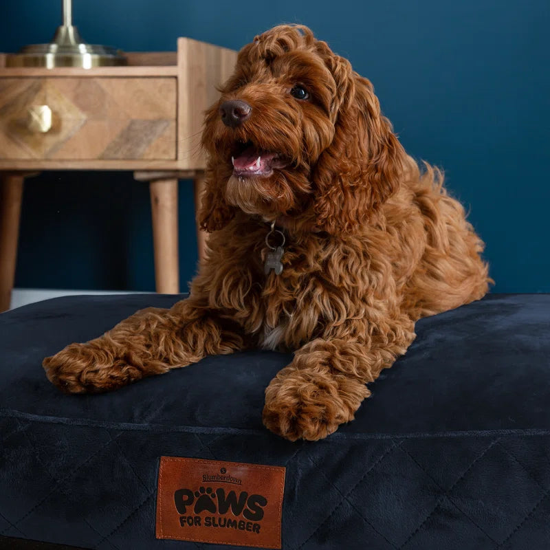 Paws for Slumber Raised Padded Dog Bed – Comfortable, Supportive & Durable Pet Bed for All Breeds