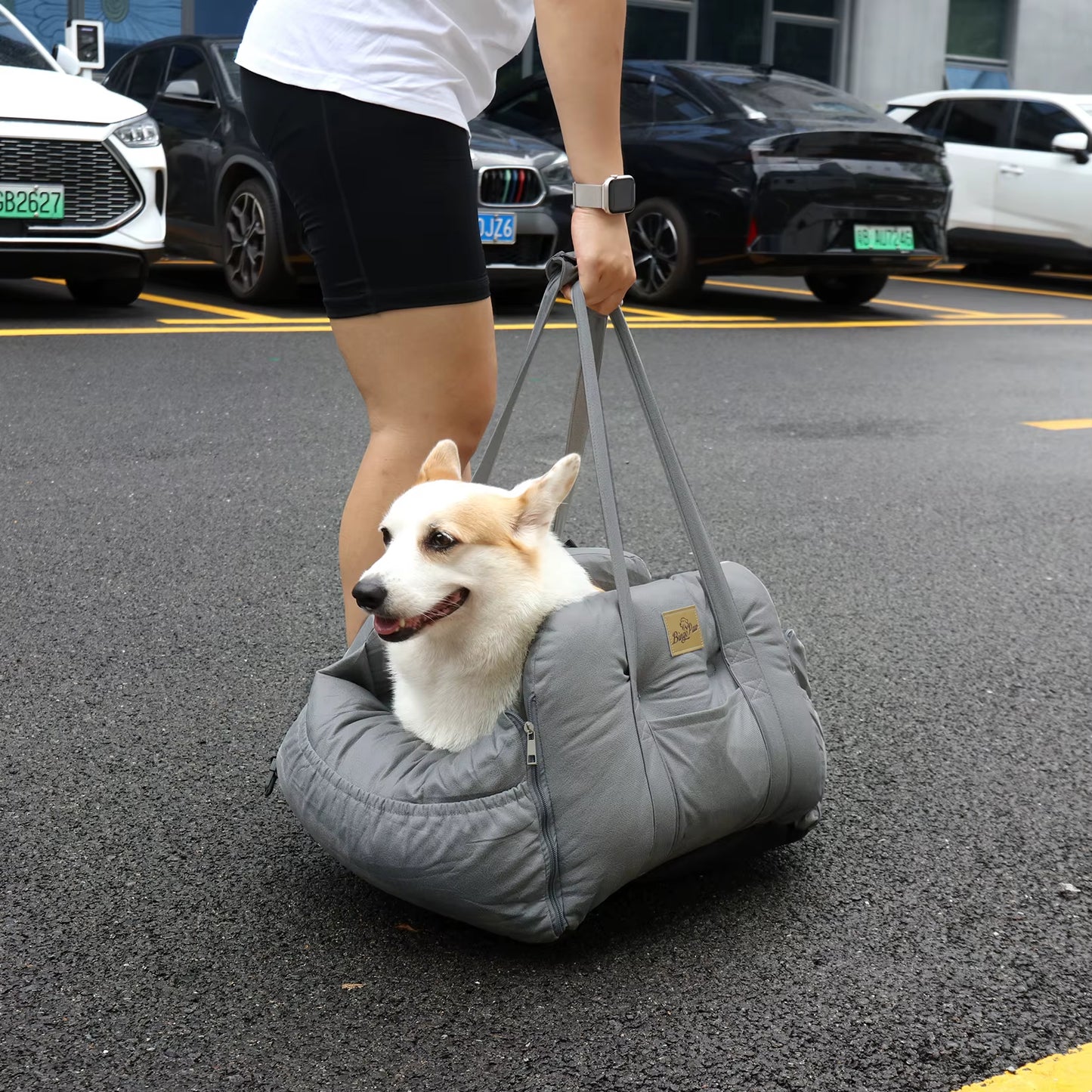 Portable Semi-Closed Pet Dog Car Sear Carrier 3-Purpose Cat Puppy Travel Bed Car Booter Seat with Safety Belt