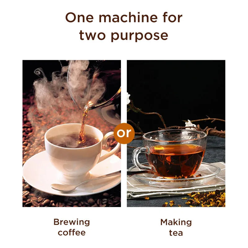 Brew Perfect Coffee Every Time: Automatic 10-Cup Stainless Steel Drip Coffee Maker with Built-In Grinder