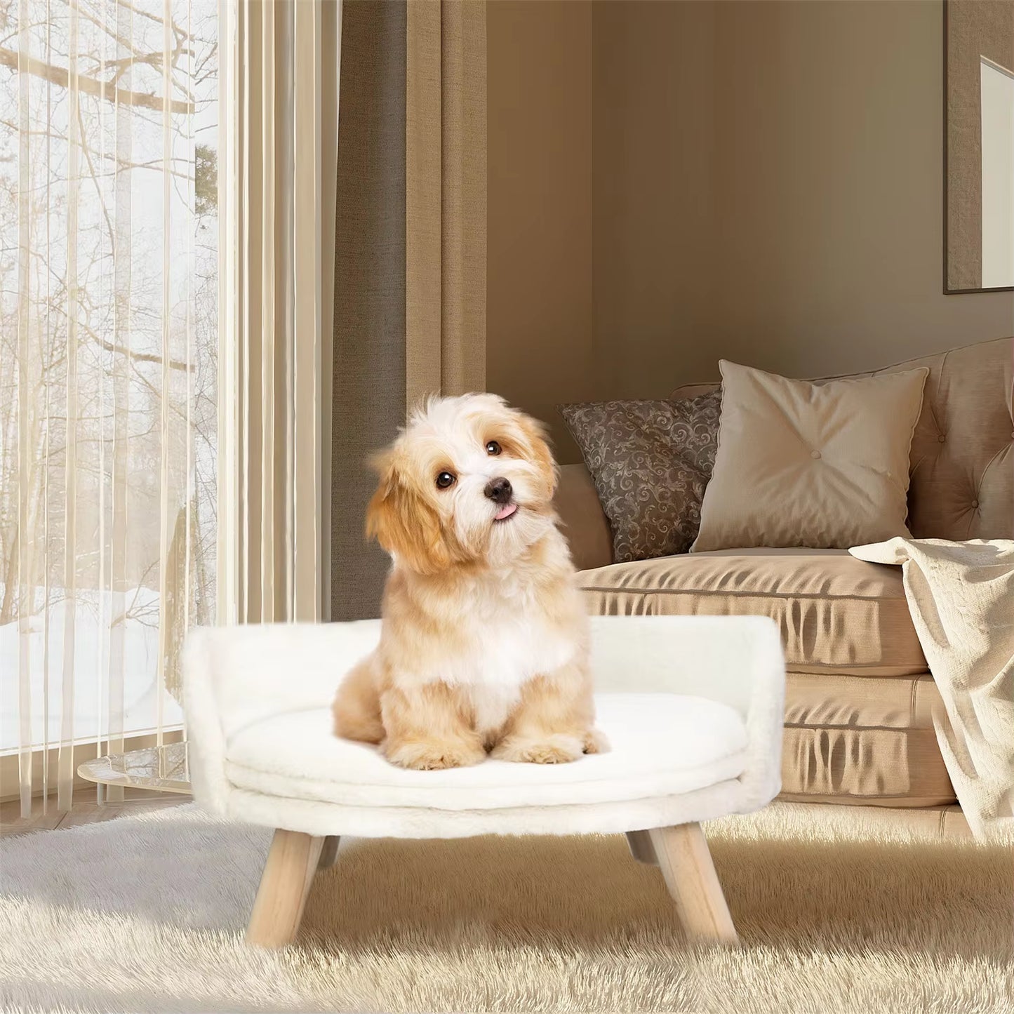 Luxurious Elevated Pet Sofa Bed with Removable Cushion for Cats and Small Dogs