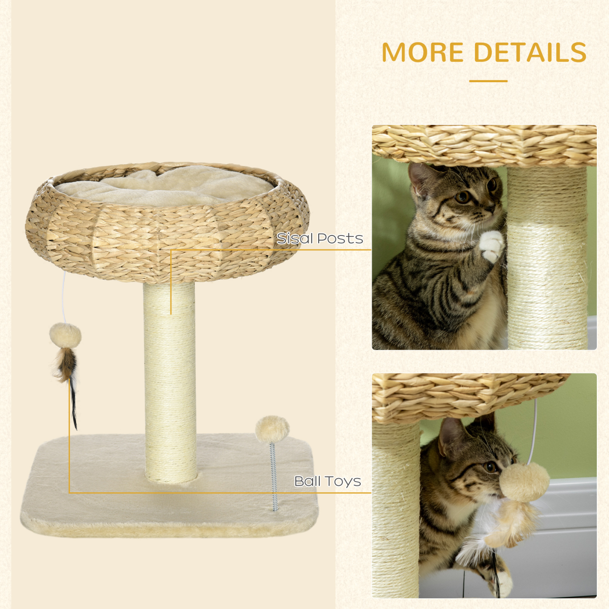 https://avasamnew.s3.amazonaws.com/product/GB010126/S0671097106/5.png