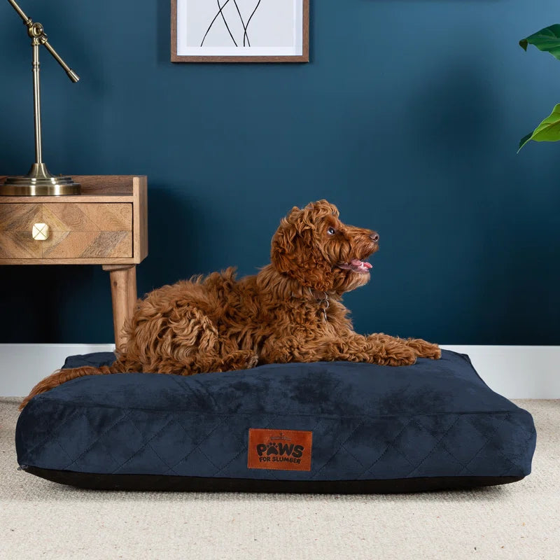 Paws for Slumber Raised Padded Dog Bed – Comfortable, Supportive & Durable Pet Bed for All Breeds