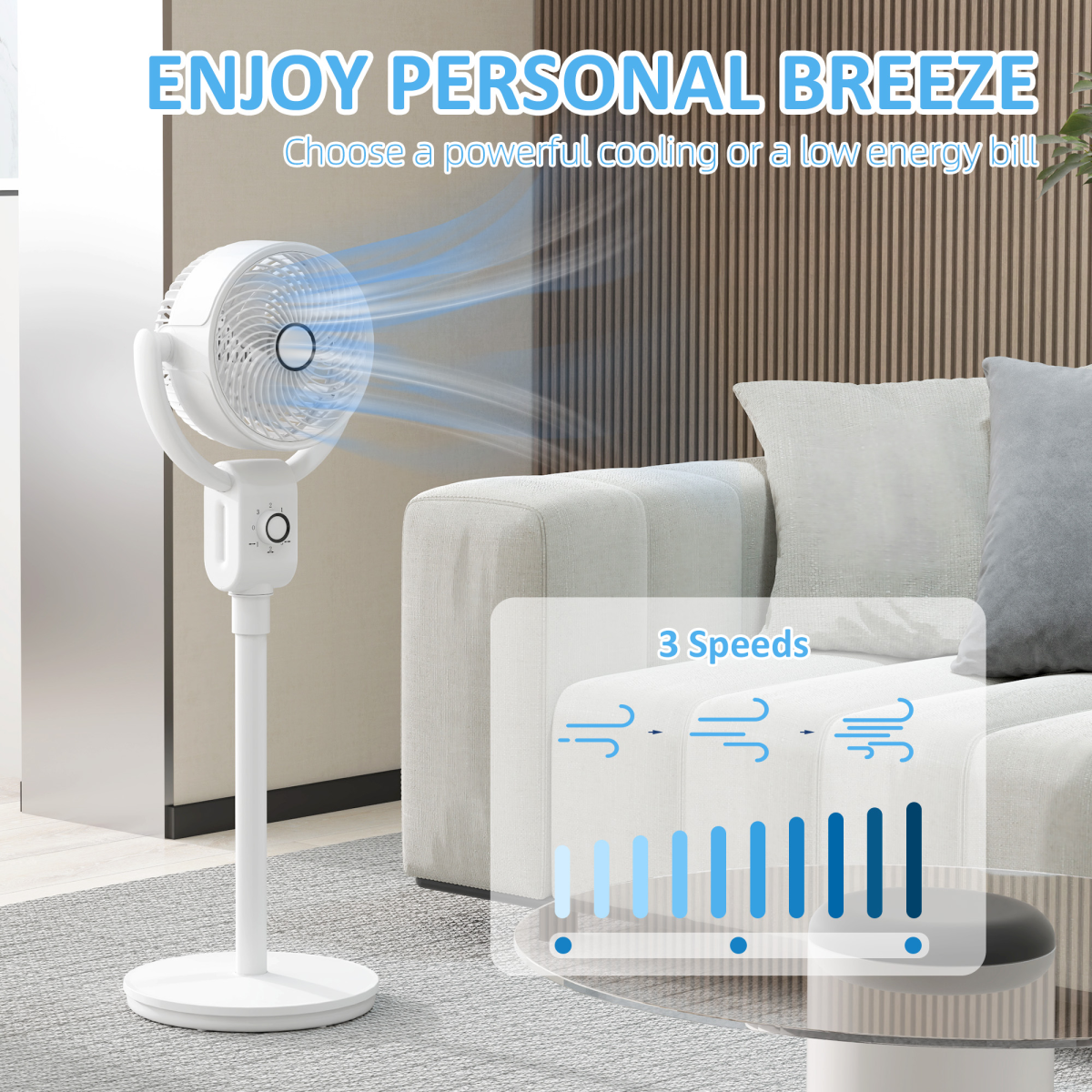 https://avasamnew.s3.amazonaws.com/product/GB010126/S0671653212/6.png