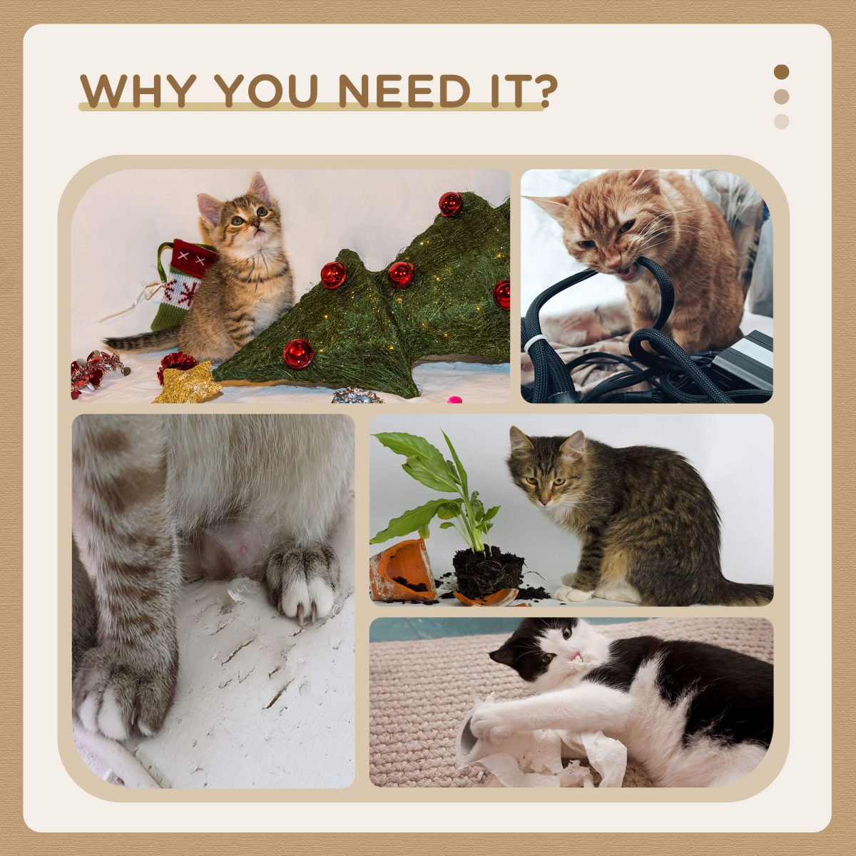 https://avasamnew.s3.amazonaws.com/product/GB010126/S0671070892/6.png