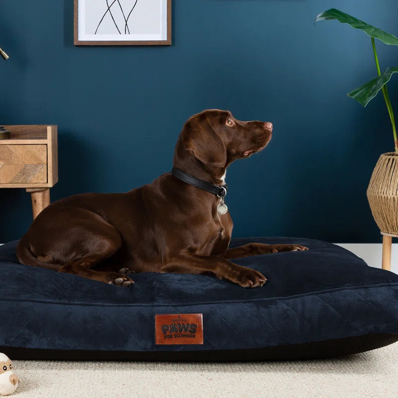 Paws for Slumber Raised Padded Dog Bed – Comfortable, Supportive & Durable Pet Bed for All Breeds