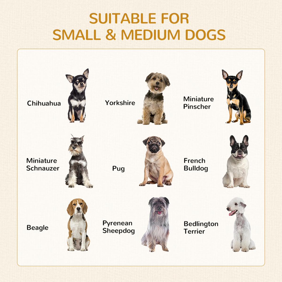 Double-Door Dog Kennel Furniture Crate for Medium Dogs - Indoor Grey