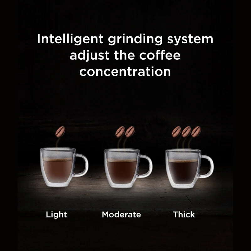Brew Perfect Coffee Every Time: Automatic 10-Cup Stainless Steel Drip Coffee Maker with Built-In Grinder