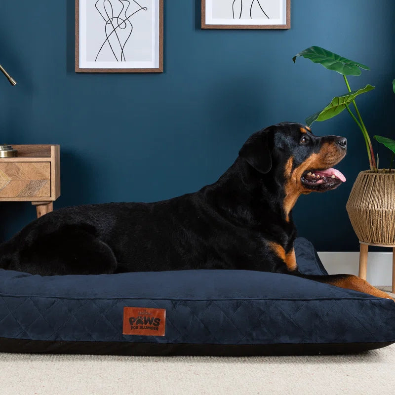 Paws for Slumber Raised Padded Dog Bed – Comfortable, Supportive & Durable Pet Bed for All Breeds