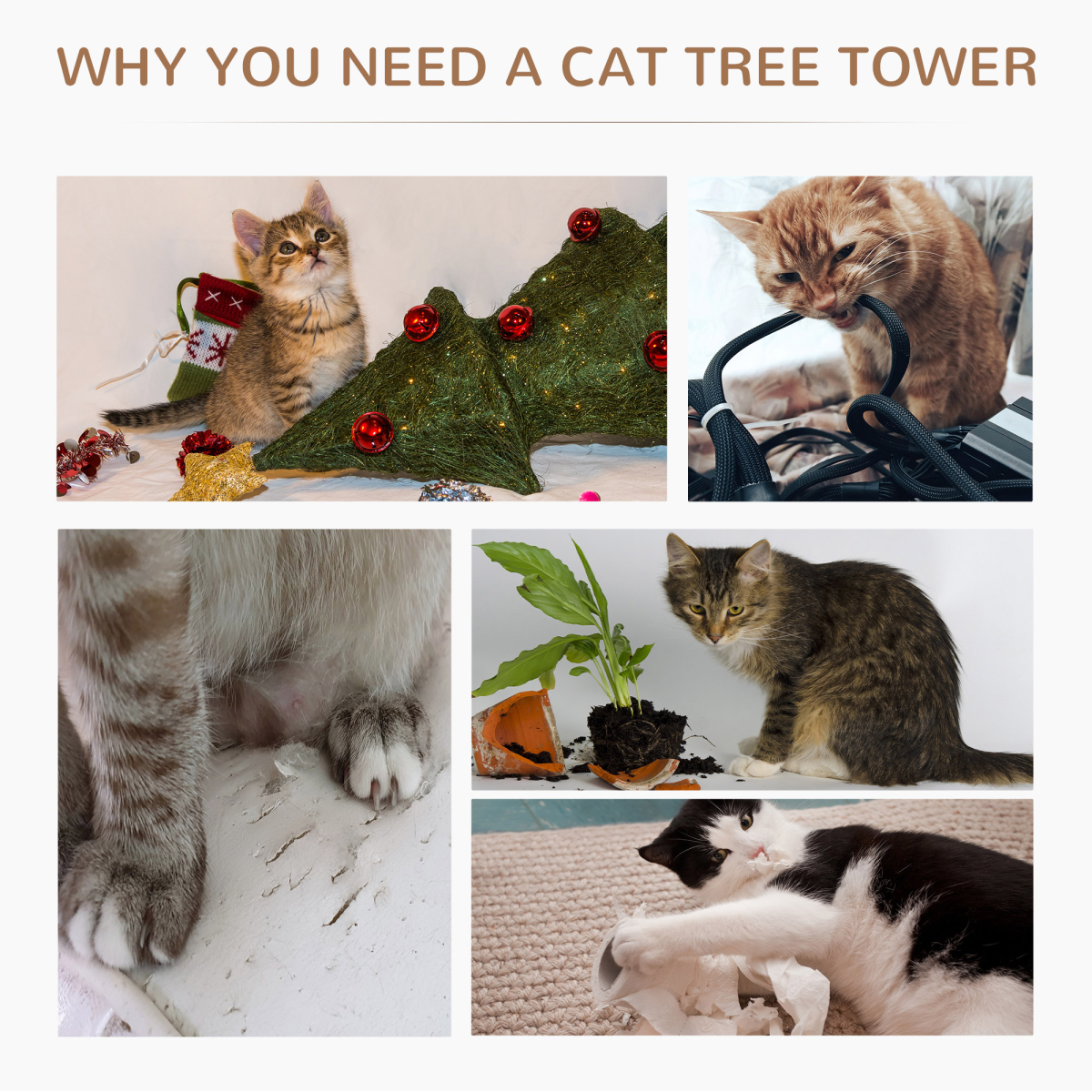 https://avasamnew.s3.amazonaws.com/product/GB010126/S0671070876/8.png