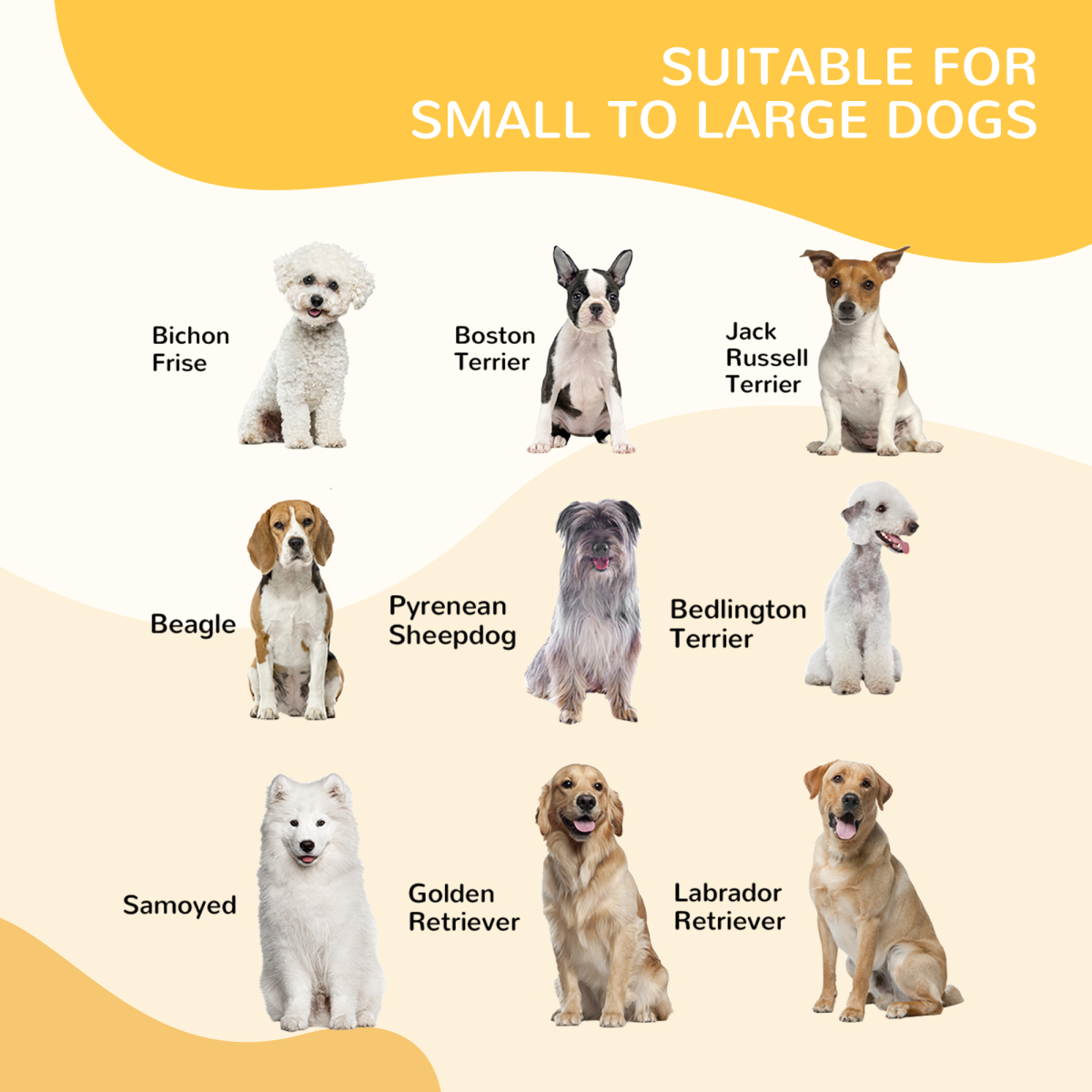 https://avasamnew.s3.amazonaws.com/product/GB010126/S0671071026/8.png