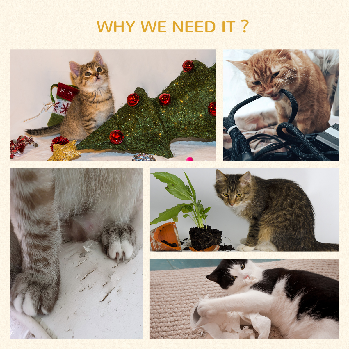 https://avasamnew.s3.amazonaws.com/product/GB010126/S0671070928/8.png