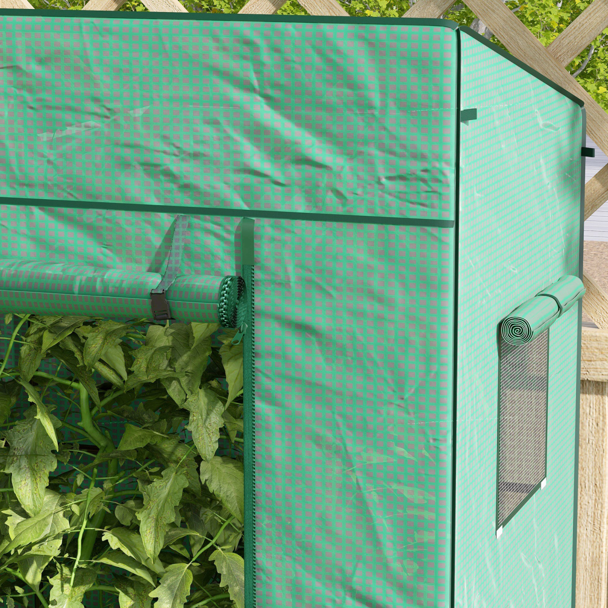 Walk-In Greenhouse: Large Roll-Up Door & Dual Mesh Windows
