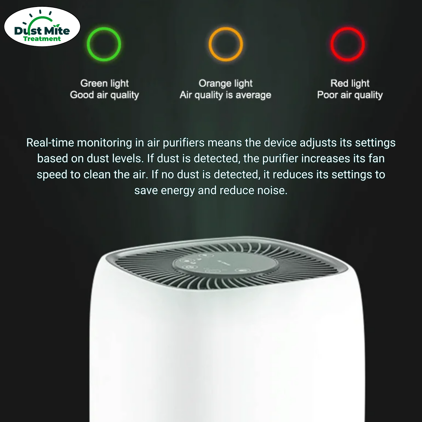 Dust Air Purifier |  HEPA Filter for Dust Mite Allergy