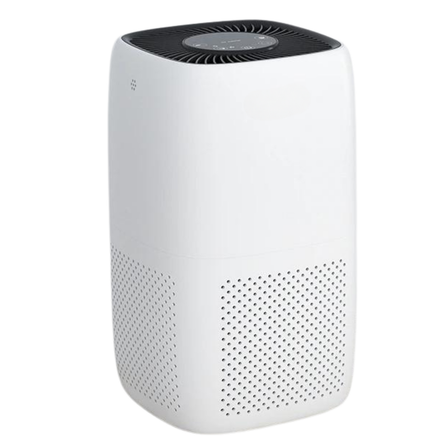 Dust Air Purifier |  HEPA Filter for Dust Mite Allergy