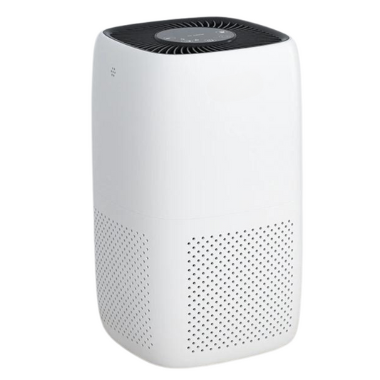 Dust Air Purifier |  HEPA Filter for Dust Mite Allergy