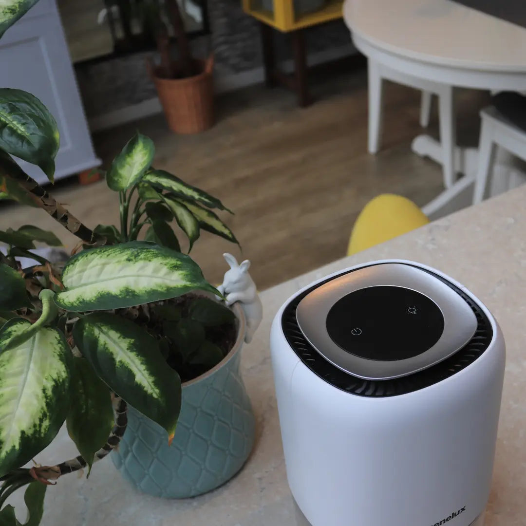 Senelux Q4 1100ml Electric Small Dehumidifier for Home