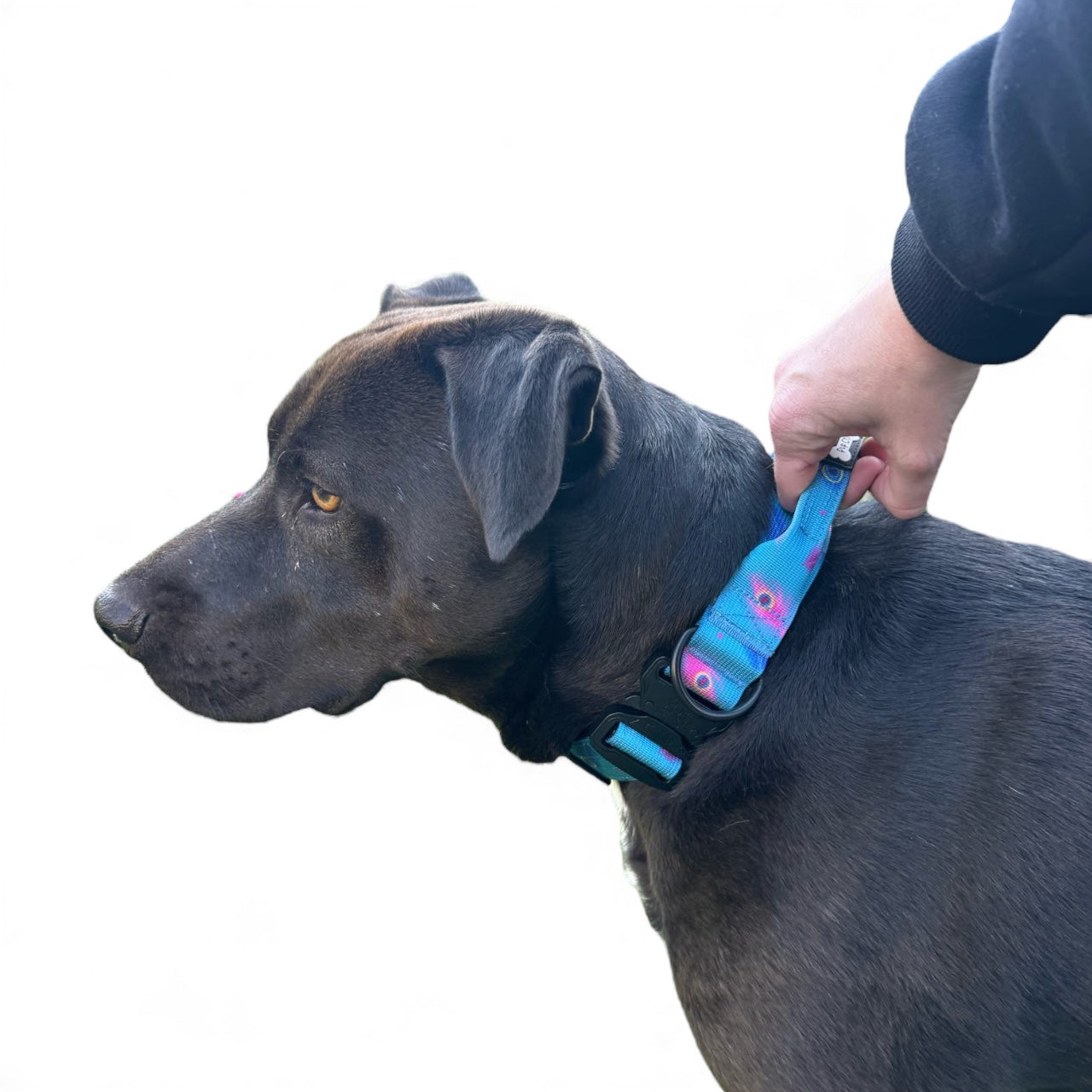 Power Peacock Adjustable & Tactical Dog Collars (XS–XL) – Bold Style for Every Size