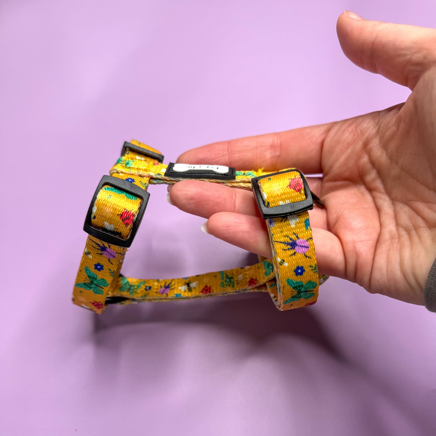Summer Buzzin’ puppy, chihuahua, kitten, rabbit, teacup strap harness