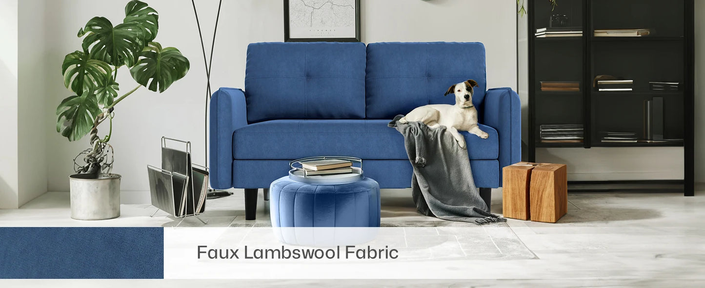 2 Seater Sofa, Modern Velvet Sofa Couch with Thicken Cushions for Living Room, Bedroom, Apartment,