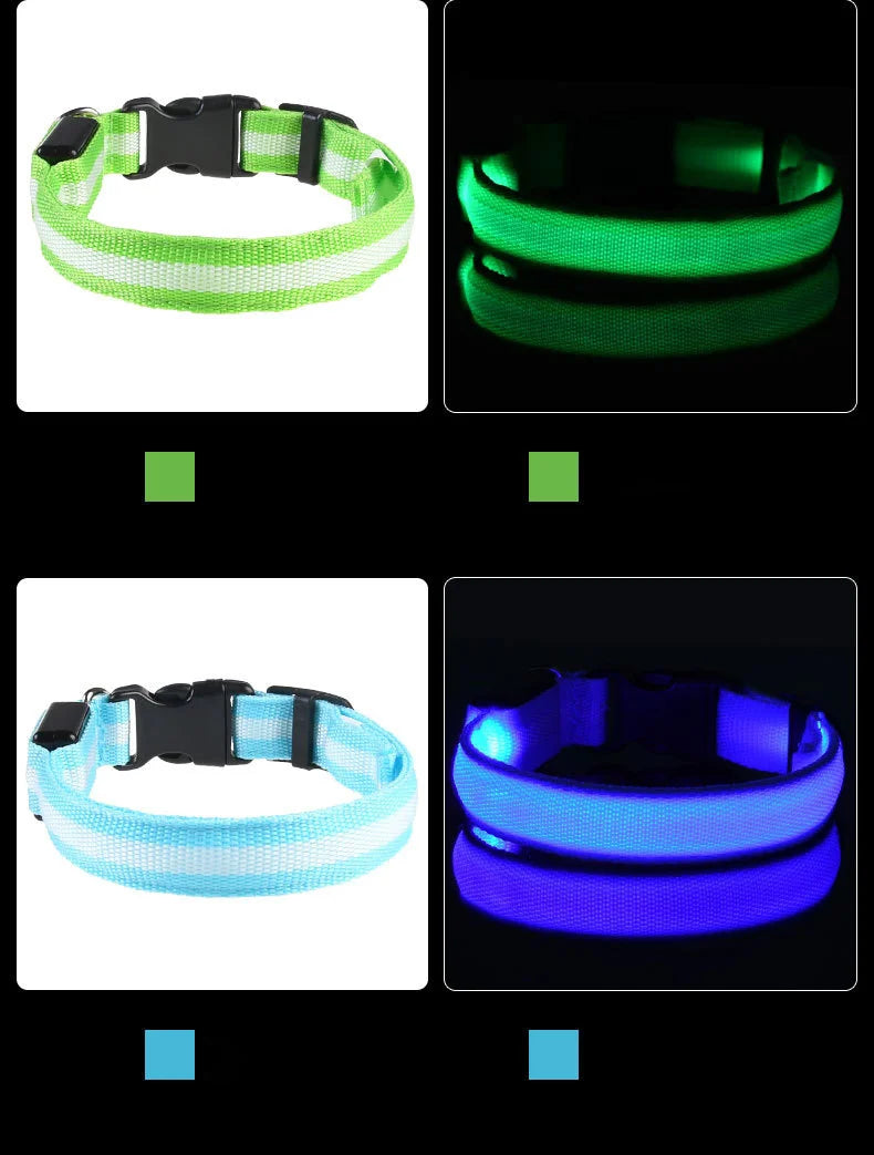 Nylon LED Night Safety Flashing Glow In The Dark Dog Leash Dogs