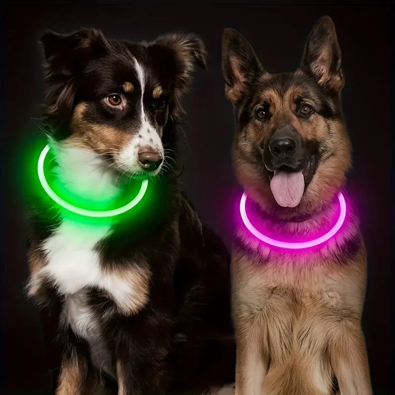 Pet Dog LED Light Collar Luminous Anti-Lost Dog Collar USB Rechargeable Dog Necklace Collar
