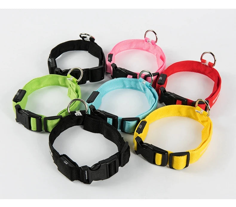 Nylon LED Night Safety Flashing Glow In The Dark Dog Leash Dogs