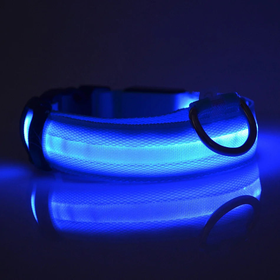 Nylon LED Night Safety Flashing Glow In The Dark Dog Leash Dogs