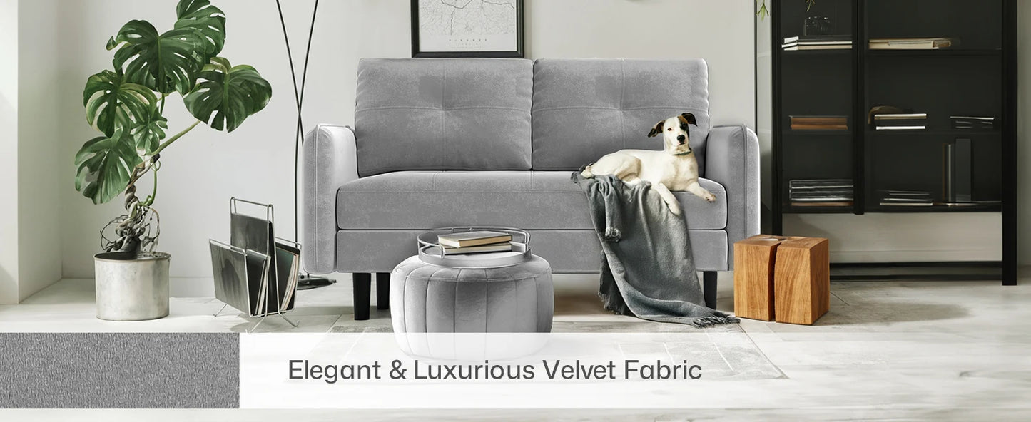 2 Seater Sofa, Modern Velvet Sofa Couch with Thicken Cushions for Living Room, Bedroom, Apartment,