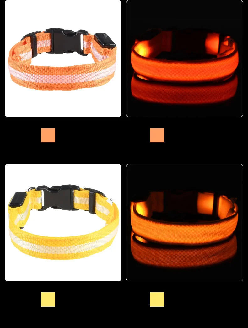 Nylon LED Night Safety Flashing Glow In The Dark Dog Leash Dogs