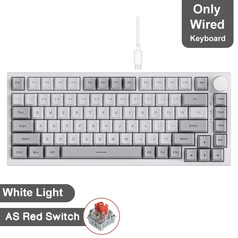 Pro Gaming Mechanical Keyboard Bluetooth 5.1/Wireless/C-Wired Customised Keyboard with Knob Hot Swapping Gasket