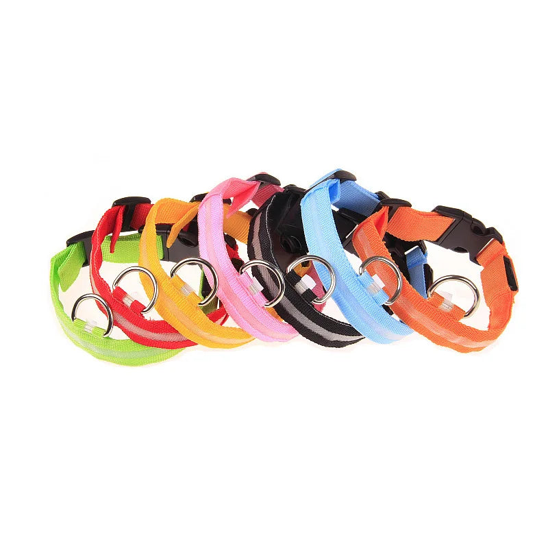 Nylon LED Night Safety Flashing Glow In The Dark Dog Leash Dogs