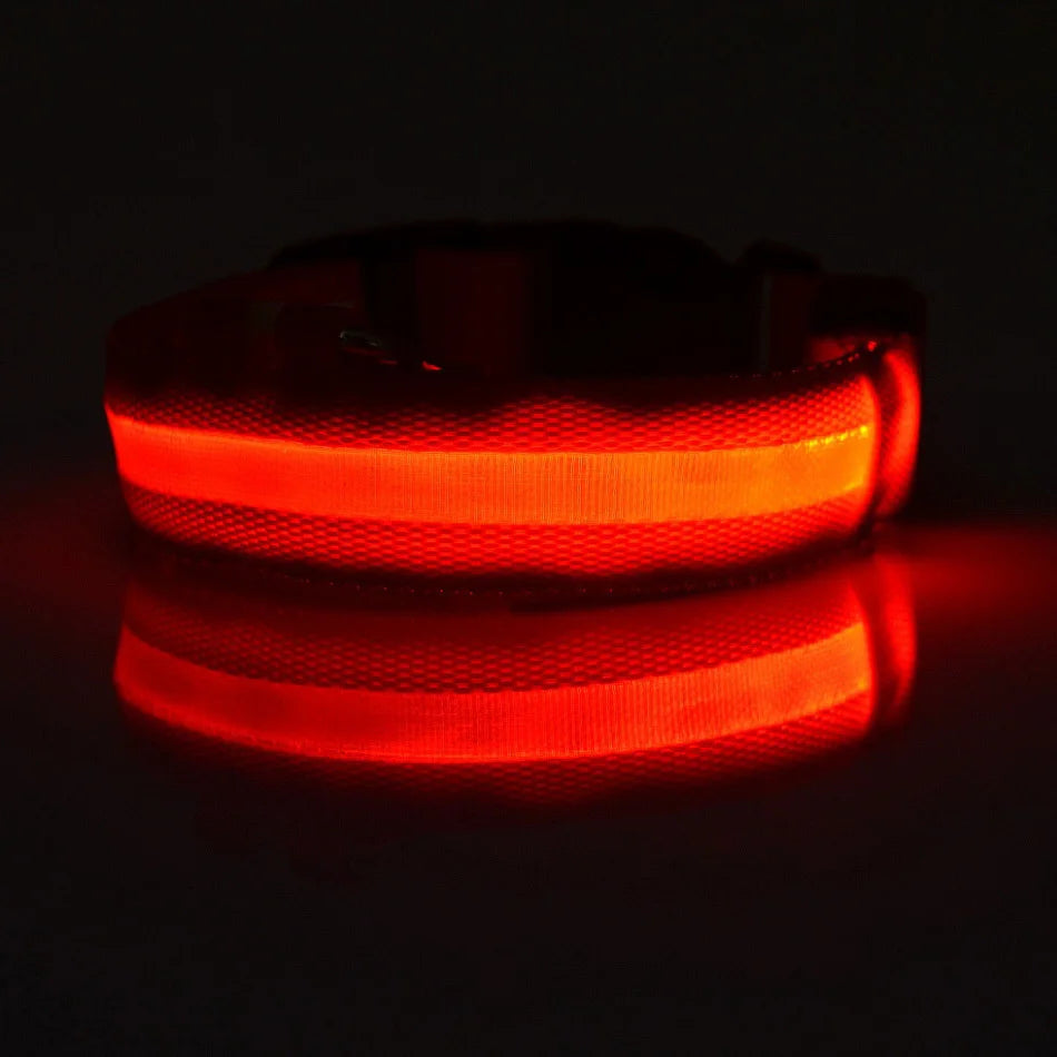 Nylon LED Night Safety Flashing Glow In The Dark Dog Leash Dogs