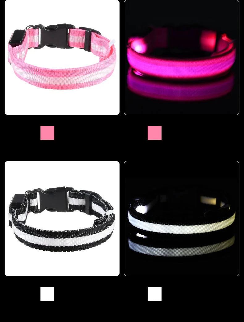 Nylon LED Night Safety Flashing Glow In The Dark Dog Leash Dogs