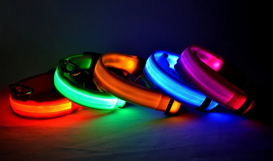 Nylon LED Night Safety Flashing Glow In The Dark Dog Leash Dogs