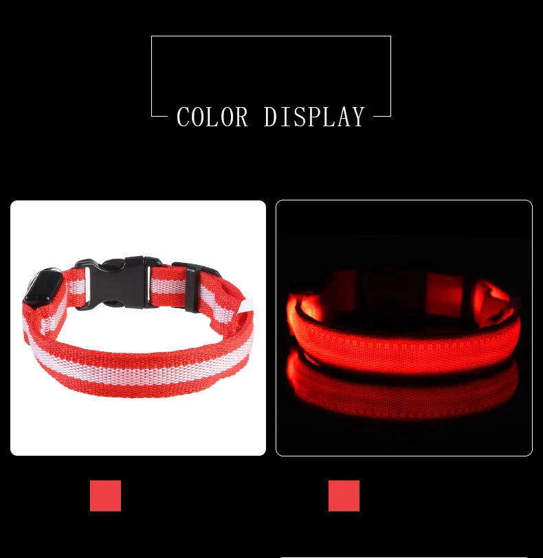 Nylon LED Night Safety Flashing Glow In The Dark Dog Leash Dogs