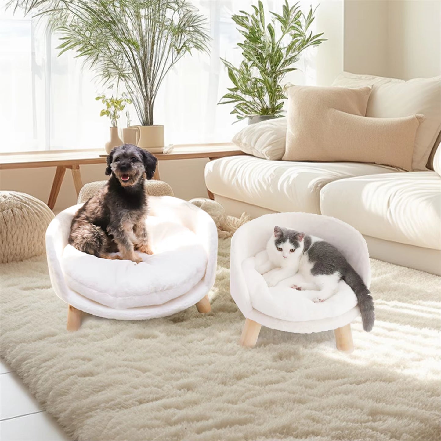 Luxurious Elevated Pet Sofa Bed with Removable Cushion for Cats and Small Dogs