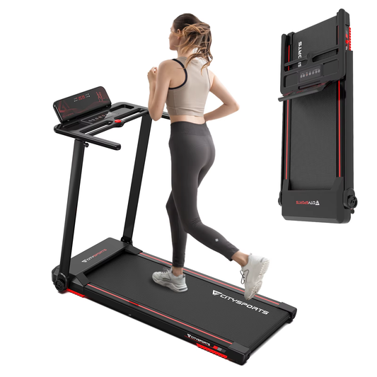 2 in 1 Folding Portable Treadmill