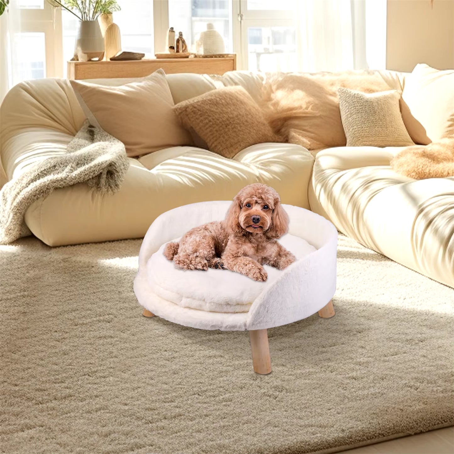 Luxurious Elevated Pet Sofa Bed with Removable Cushion for Cats and Small Dogs