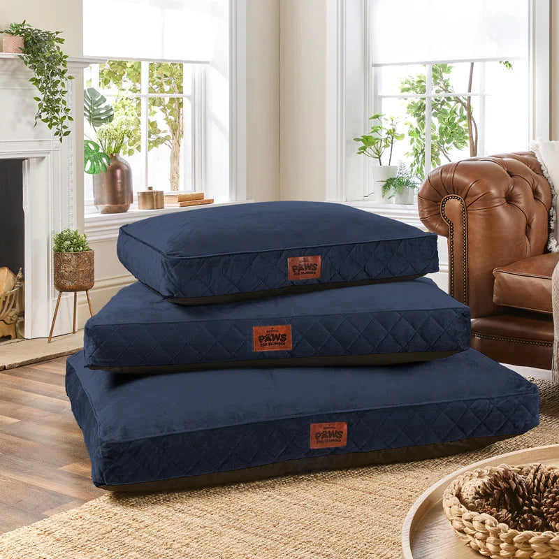 Paws for Slumber Raised Padded Dog Bed – Comfortable, Supportive & Durable Pet Bed for All Breeds