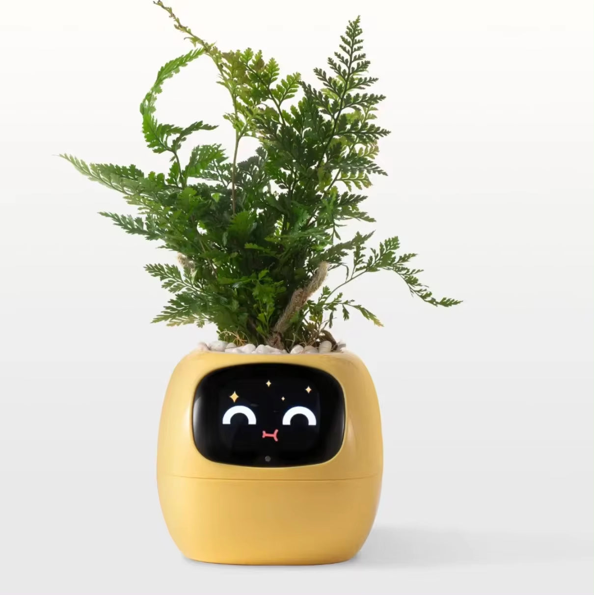 Transform Your Plant Care with Ivy Smart Planter: 49+ Engaging Expressions, 7 Smart Sensors, and AI Technology!
