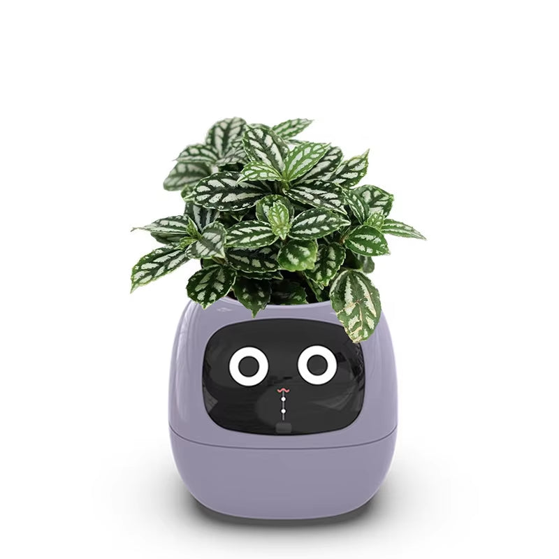 Transform Your Plant Care with Ivy Smart Planter: 49+ Engaging Expressions, 7 Smart Sensors, and AI Technology!