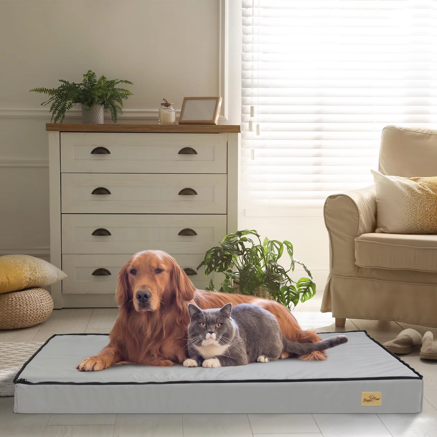 Luxurious Orthopedic Calming Dog Bed for Large to 3XL Dogs - Soft Foam Base & Removable Cover