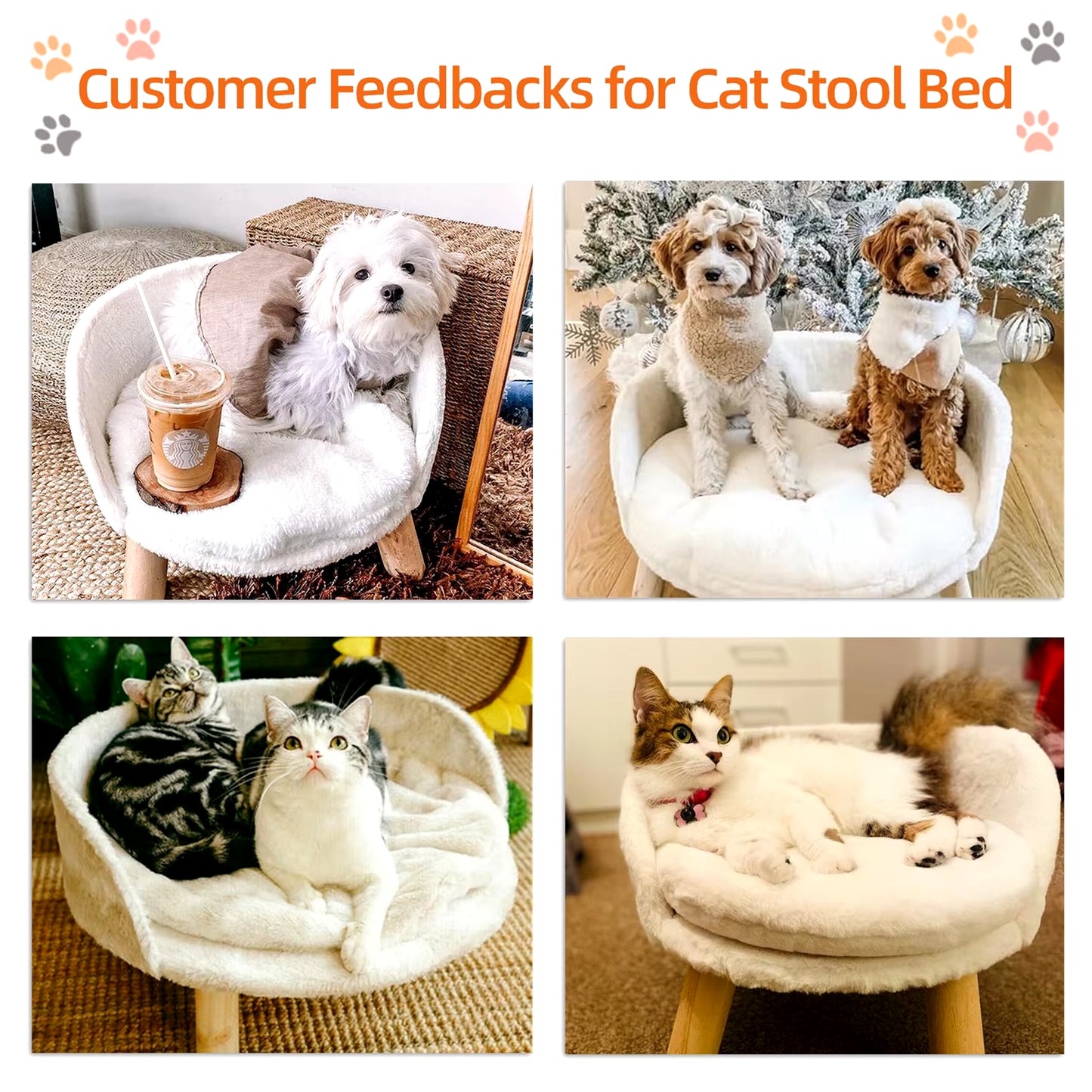 Luxurious Elevated Pet Sofa Bed with Removable Cushion for Cats and Small Dogs