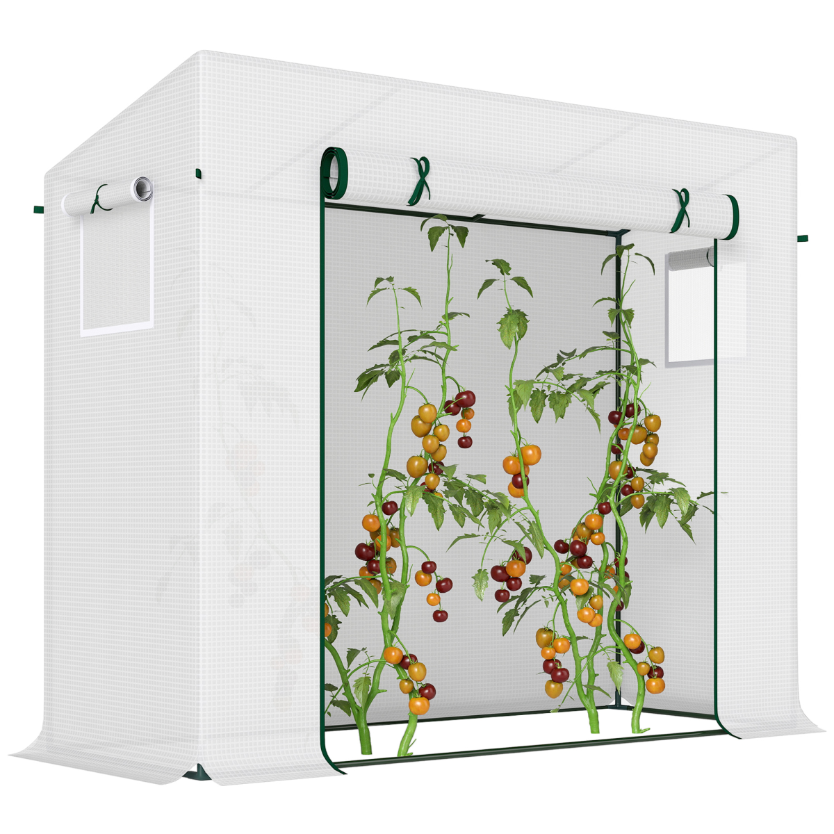 Walk-In Garden Greenhouse 200x76x168 cm with Roll-Up Door