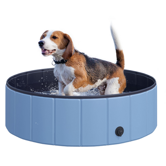 https://avasamnew.s3.amazonaws.com/product/GB010126/S0671081122/main.png