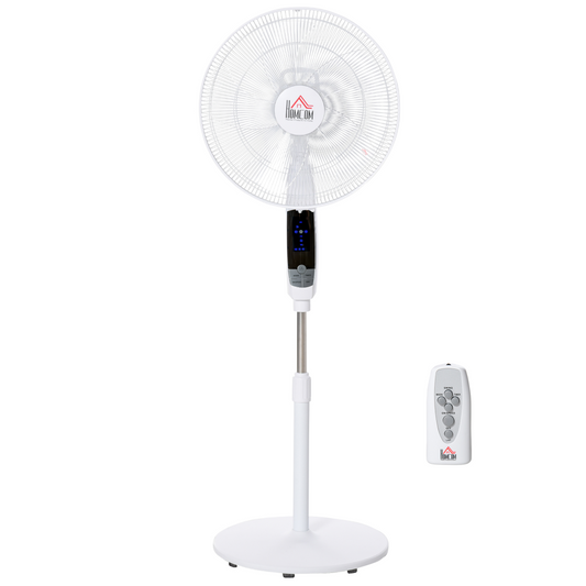 https://avasamnew.s3.amazonaws.com/product/GB010126/S0671079424/main.png